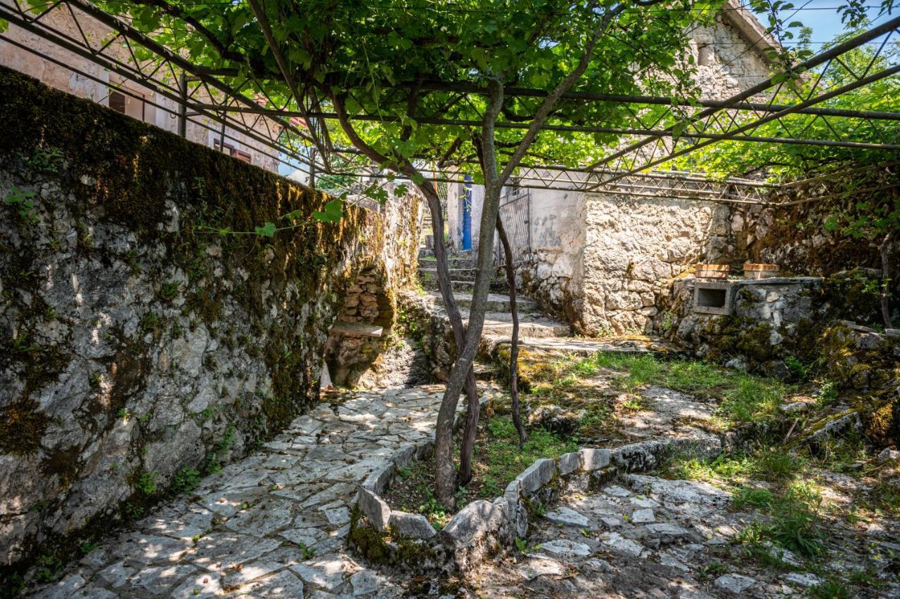 Guest House Gornji Ceklin Cetynia Zewnętrze zdjęcie