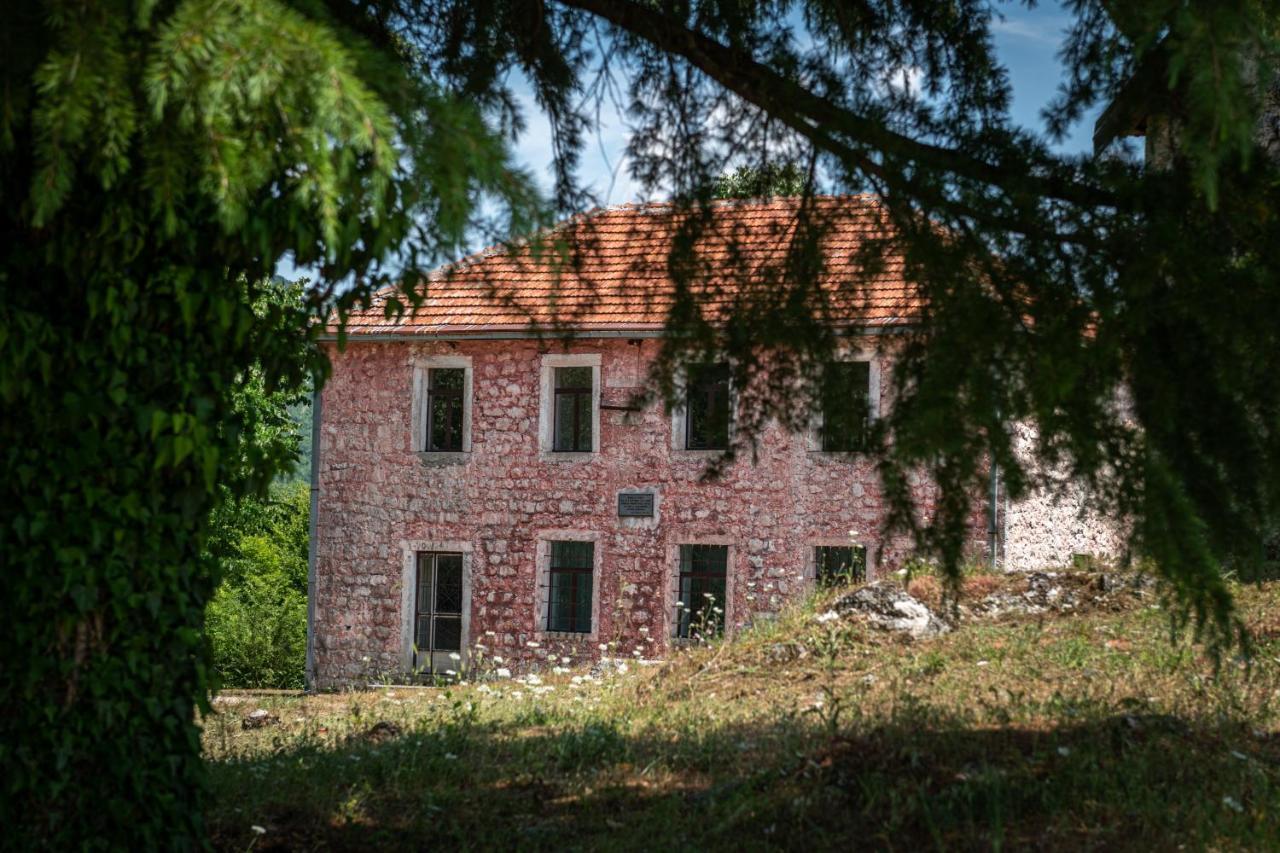 Guest House Gornji Ceklin Cetynia Zewnętrze zdjęcie
